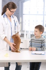 Rabbit of little boy at pets' clinic