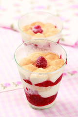 Frozen dessert with panna cotta and raspberries