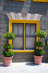 Window and flower arrangement,