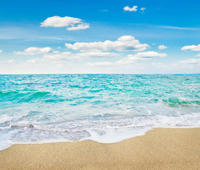 beach and tropical sea