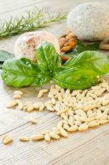 Pinoli, pine nuts, mediterranean diet