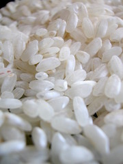 White rice macro