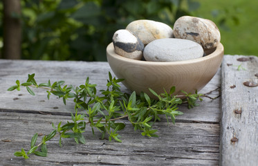 Fototapeta na wymiar coupelle en bois pierre et plante aromatique