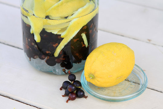 Ansatzlik&ouml;r aus Jostabeeren und Wodka