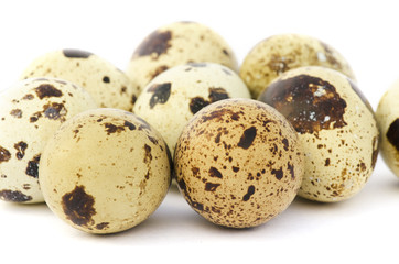 Obraz premium Quail eggs