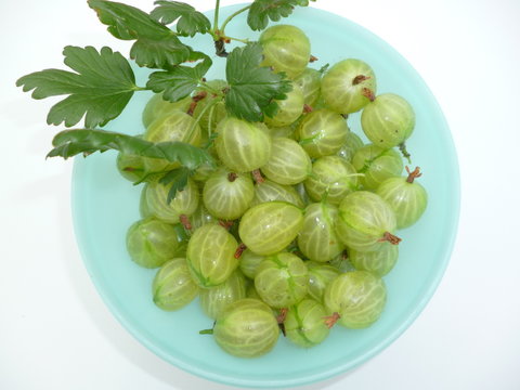 beeren di&auml;t