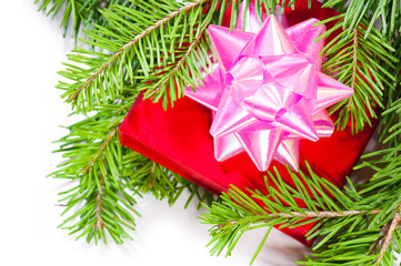 gift and green christmas tree