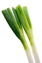 Green Onion isolated on white