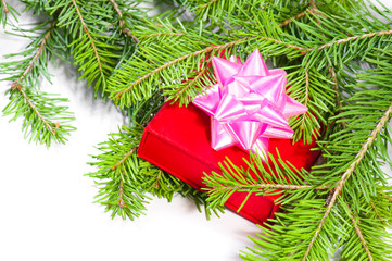 gift and green christmas tree