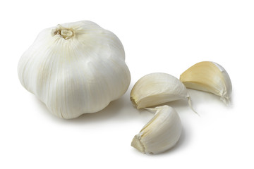 Garlic on white background
