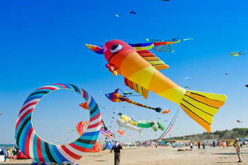 kite in the blue sky