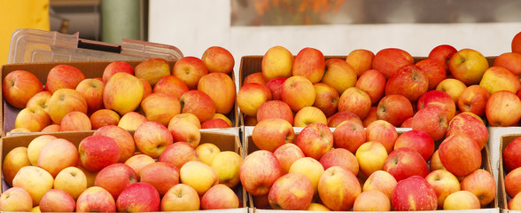 Boxes of Apples