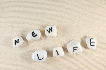 New life word