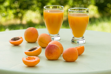 Apricot
