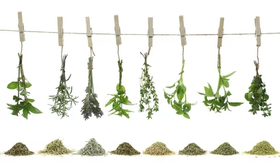 Acrylic prints Best sellers in the kitchen Fresh herbs hanging on a rope.