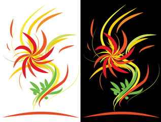 Wild Flower Abstract