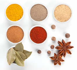  Different spices in white bowls isolated on white background.