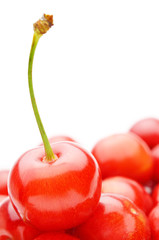 さくらんぼ　たくさん