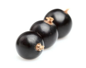 Ripe currant in closeup