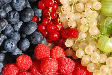 Variety of organically grown berries © petrabarz