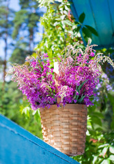The rosebay in a basket