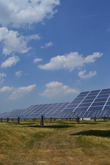 Solar panels on green grass