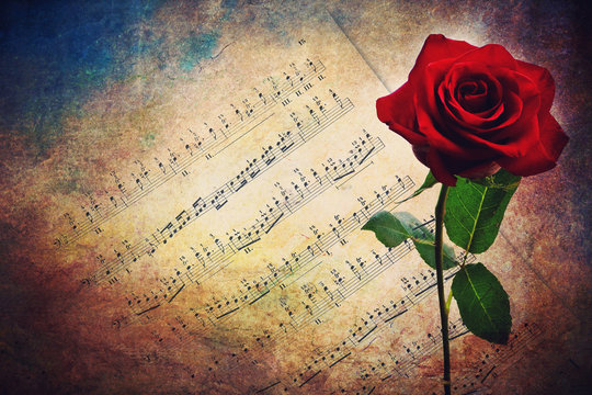 Antique musical score with red rose