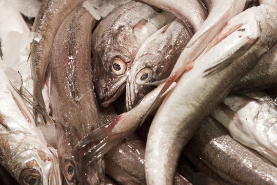 Fischmarkt