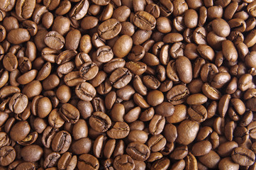 Coffee beans background