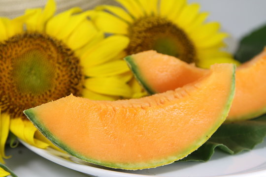 Soleil de Provence et son fruit