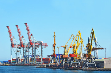 Cargo crane freight traine and coal in port