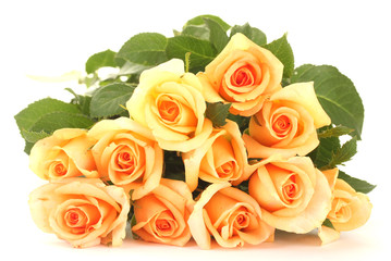 beautiful bouquet of roses isolated on white