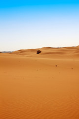 Fototapeta na wymiar Niebieski i pustynia