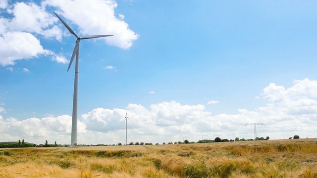 Windenergy on a Cerial Field