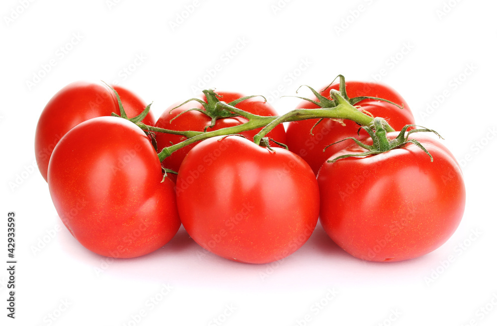 Canvas Prints fresh tomatoes on branch isolated on white