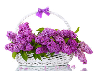 beautiful lilac flowers in basket isolated on white