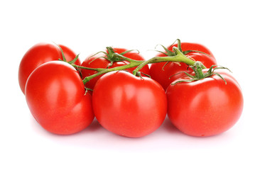 Fresh tomatoes on branch isolated on white