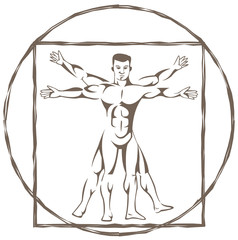vitruvian man