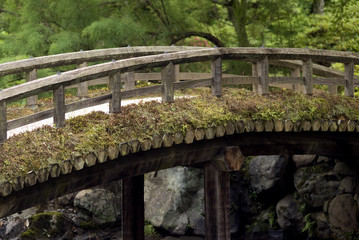 Fototapeta premium Garden in the Imperial Palace, Kyoto, Japan
