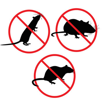Rats of the mouse rodents will lock stop a symbol