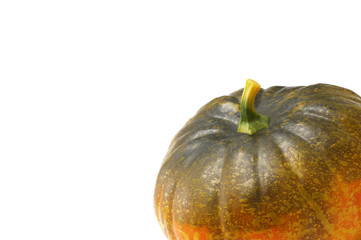 白背景にカボチャの飾り