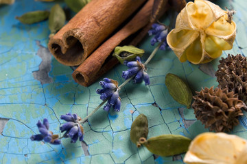 Cinnamon, herbs and other fragrant spices