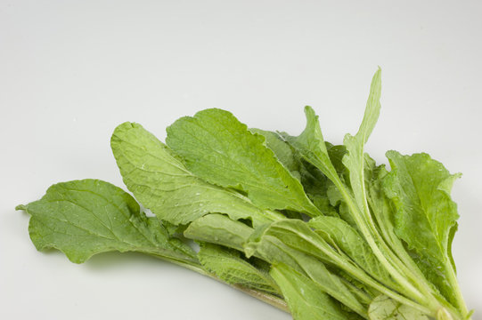 borragine