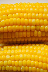 corn