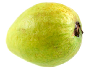 goyave,  Psidium guajava