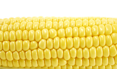 corn © astral113