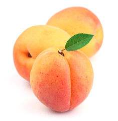 Fresh apricots with leaf