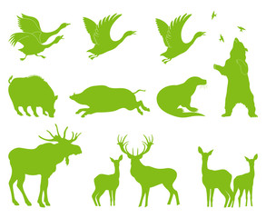 Ecology forest animal vector set background