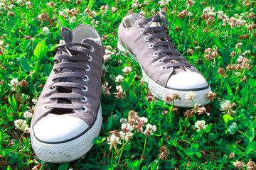 sneakers on grass