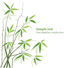 vector Bamboo